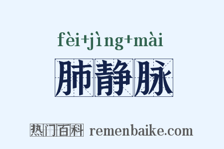 肺静脉是什么意思的图片